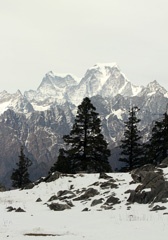 IMG_3441a